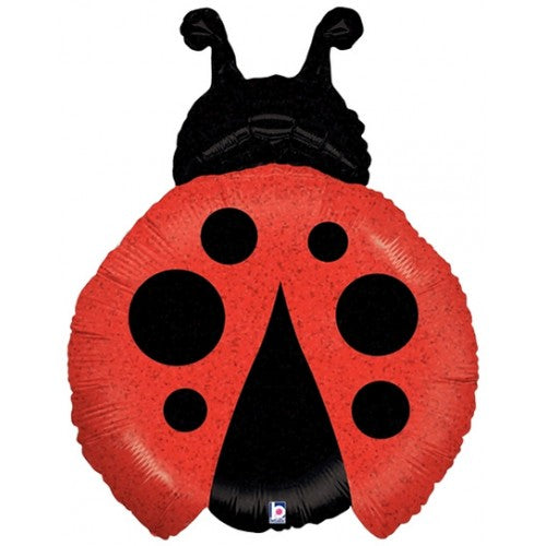 Little Lady Bug