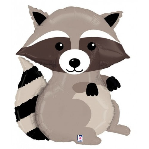 Raccoon - Woodland