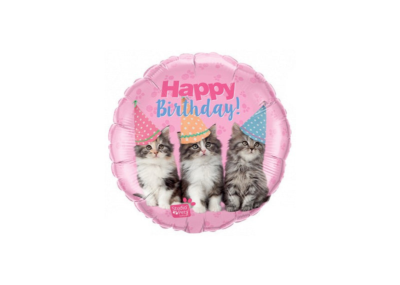 Happy Birthday - Kittens