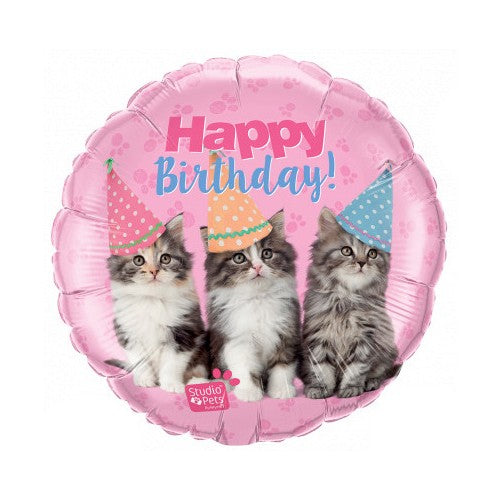 Happy Birthday Kittens